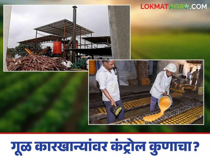 Jaggery Factory Farmers get money 2 months after sugarcane is broken; Arbitrary management of jaggery factories! No government control | Jaggery Factory : गूळ कारखान्यांचा मनमानी कारभार! शासनाचा कंट्रोल नाही; ऊस तुटल्यानंतर २ महिन्यांनी शेतकऱ्यांना पैसे Jaggery Factory Farmers get money 2 months after sugarcane is broken; Arbitrary management of jaggery factories! No government control | Jaggery Factory : गूळ कारखान्यांचा मनमानी कारभार! शासनाचा कंट्रोल नाही; ऊस तुटल्यानंतर २ महिन्यांनी शेतकऱ्यांना पैसे