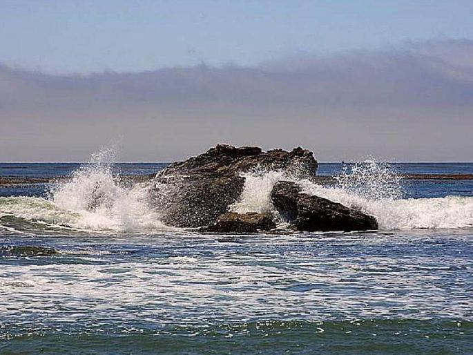 Sea water is becoming 'toxic': Marine life is in danger, the fish on your plate will disappear | समुद्राचे पाणी होतेय ‘विषारी’ : समुद्री जीवसृष्टी धोक्यात, तुमच्या प्लेटमधील मासे गायब होणार Sea water is becoming 'toxic': Marine life is in danger, the fish on your plate will disappear | समुद्राचे पाणी होतेय ‘विषारी’ : समुद्री जीवसृष्टी धोक्यात, तुमच्या प्लेटमधील मासे गायब होणार