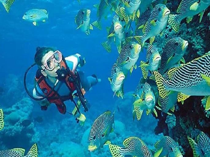 Increasing tourism is also providing employment to locals, which is a positive thing, but the adverse effects on marine life are worrying | सागरी जीवसृष्टीवर होणारे विपरीत परिणाम चिंताजनक