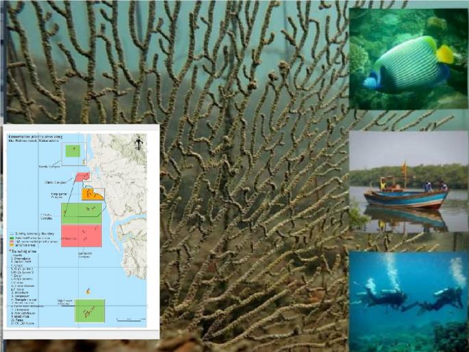 Sindhudurg fort area will be excluded from Malvan marine sanctuary, three new places will be included | मालवण सागरी अभयारण्यातून सिंधुदुर्ग किल्ला परिसर वगळणार, नव्या तीन जागांचा होणार समावेश Sindhudurg fort area will be excluded from Malvan marine sanctuary, three new places will be included | मालवण सागरी अभयारण्यातून सिंधुदुर्ग किल्ला परिसर वगळणार, नव्या तीन जागांचा होणार समावेश