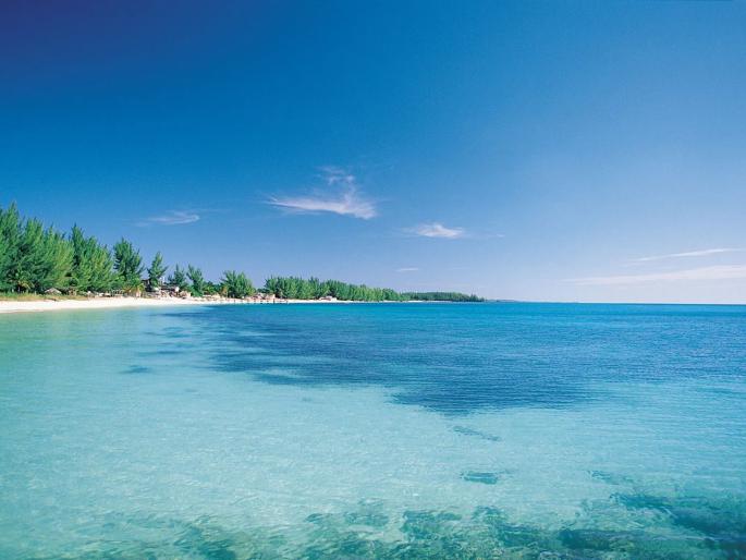 A calm storm at sea | समुद्रातलं शांत वादळ A calm storm at sea | समुद्रातलं शांत वादळ