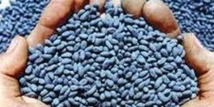 Farmers shocked by seed price hike | बियाणांच्या दरवाढीचा शेतकऱ्यांना ‘शॉक’