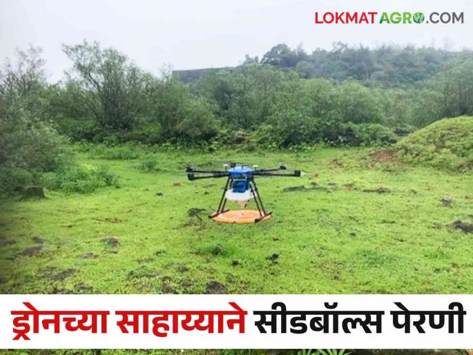Latest News Sowing seedballs with drones on 100 hectares in Nashik taluka | Seedballs Sowing : 100 हेक्टर माळरानावर ड्रोनच्या साहाय्याने सीडबॉल्स पेरणी, नाशिक तालुक्यात प्रयोग  Latest News Sowing seedballs with drones on 100 hectares in Nashik taluka | Seedballs Sowing : 100 हेक्टर माळरानावर ड्रोनच्या साहाय्याने सीडबॉल्स पेरणी, नाशिक तालुक्यात प्रयोग