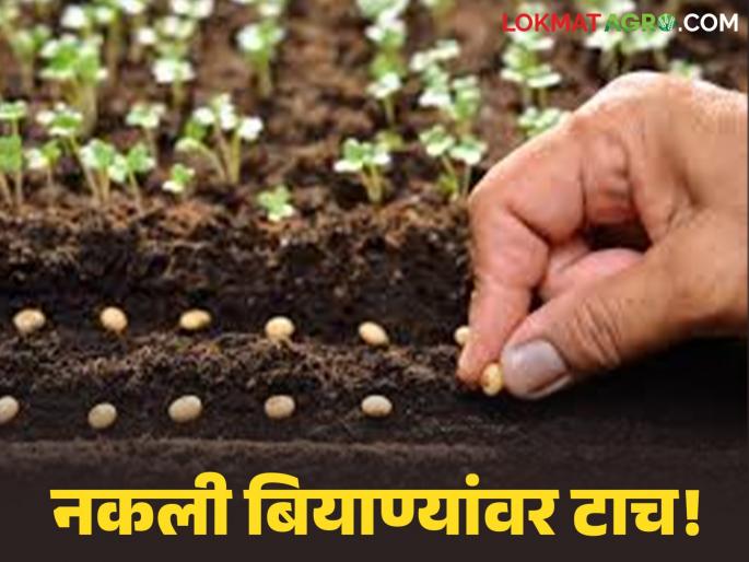 latest news Fake Seed Control: New digital 'sathi' for farmers; Crackdown on fake seed makers | Fake Seed Control : शेतकऱ्यांचा नवा डिजिटल 'साथी'; नकली बियाणे बनविणाऱ्यांना बसणार चाप latest news Fake Seed Control: New digital 'sathi' for farmers; Crackdown on fake seed makers | Fake Seed Control : शेतकऱ्यांचा नवा डिजिटल 'साथी'; नकली बियाणे बनविणाऱ्यांना बसणार चाप