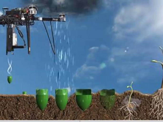 seed bombing will be done for increasing forest area | अकोला जिल्ह्यात वनवृध्दीसाठी हेलिकॉप्टरमधून करणार बियांचा वर्षाव! seed bombing will be done for increasing forest area | अकोला जिल्ह्यात वनवृध्दीसाठी हेलिकॉप्टरमधून करणार बियांचा वर्षाव!