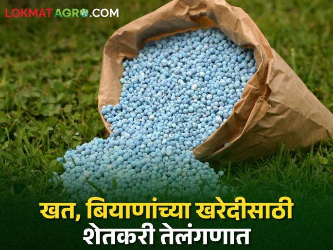Why do the farmers of this tahshil take? Rush to Telangana to buy fertilizer, seeds | या तालुक्यातील शेतकरी का घेताहेत? खत, बियाणांच्या खरेदीसाठी तेलंगणात धाव Why do the farmers of this tahshil take? Rush to Telangana to buy fertilizer, seeds | या तालुक्यातील शेतकरी का घेताहेत? खत, बियाणांच्या खरेदीसाठी तेलंगणात धाव