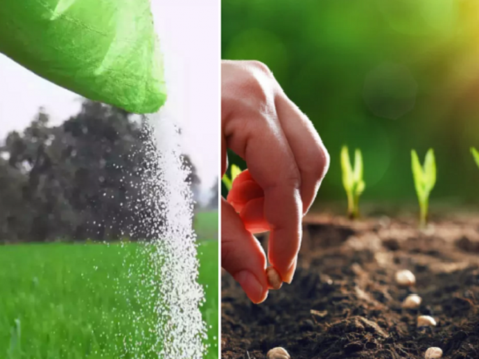 Sale of seeds and fertilizers at excessive rates, report through WhatsApp; 10 licenses suspended in Dharashiv | जादा दराने बियाणे-खत विक्री, ‘व्हाॅटस्ॲप’द्वारे करा तक्रार; धाराशिवमध्ये १० परवाने निलंबित