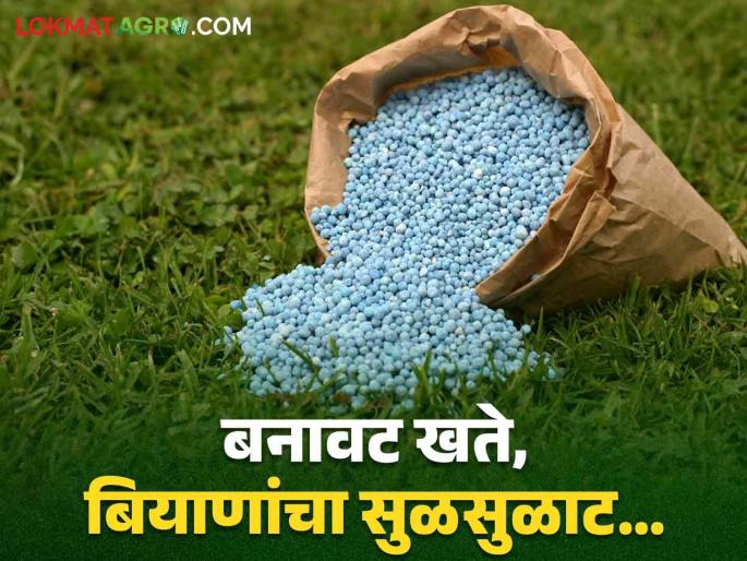 Fake Fertilizers seeds: Increase in cases of counterfeiting of seeds, fertilizers; Plan measures to detect fraud | Fake Fertilizers seeds : बियाणे, खतांत बनवेगिरीची प्रकरणात वाढ; बनाव ओळखण्यासाठी या उपाय योजना करा Fake Fertilizers seeds: Increase in cases of counterfeiting of seeds, fertilizers; Plan measures to detect fraud | Fake Fertilizers seeds : बियाणे, खतांत बनवेगिरीची प्रकरणात वाढ; बनाव ओळखण्यासाठी या उपाय योजना करा