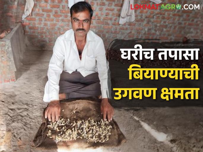 How to check seed germination at home before sowing? | Seed Germination Test बियाणांची उगवणक्षमता तपासण्यासाठी गोणपाटाचा वापर का करतात? How to check seed germination at home before sowing? | Seed Germination Test बियाणांची उगवणक्षमता तपासण्यासाठी गोणपाटाचा वापर का करतात?
