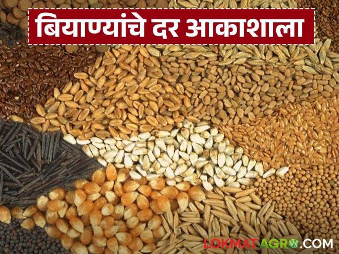 Losses in Kharif, inflation in Rabi! Farmers are facing a double blow | खरीपात नुकसान, रब्बीत महागाई! शेतकऱ्यांना बसतोय दुहेरी फटका