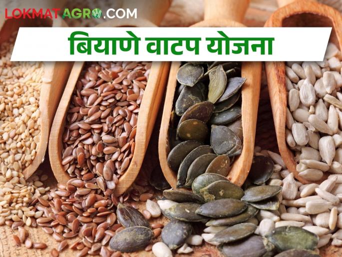 Latest News Take advantage of the free seed distribution scheme now | आता मोफत बियाणे वाटपाची योजना, असा घ्या लाभ Latest News Take advantage of the free seed distribution scheme now | आता मोफत बियाणे वाटपाची योजना, असा घ्या लाभ