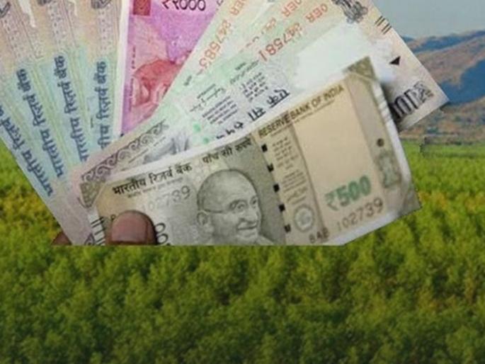 Seed subsidy credited to account of only 3,155 farmers! | केवळ ३,१५५ शेतकऱ्यांच्या खात्यात बियाणे अनुदानाची रक्कम जमा! Seed subsidy credited to account of only 3,155 farmers! | केवळ ३,१५५ शेतकऱ्यांच्या खात्यात बियाणे अनुदानाची रक्कम जमा!