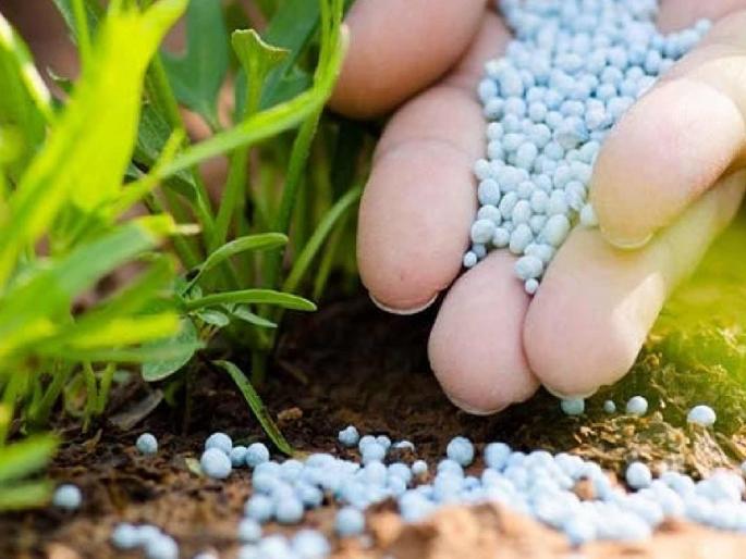 License of seed sellers suspended till August 25 by Solapur Agriculture Department | बियाणे विक्रेत्यांचा परवाना सोलापूर कृषी विभागाकडून २५ ऑगस्टपर्यंत निलंबित License of seed sellers suspended till August 25 by Solapur Agriculture Department | बियाणे विक्रेत्यांचा परवाना सोलापूर कृषी विभागाकडून २५ ऑगस्टपर्यंत निलंबित