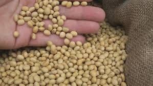 When is the moment for Seeds Park in Jalna ?, but red carpet from Telangana, Andhra | जालन्यातील सीड्स पार्कला मुहूर्त कधी?, तेलंगणा, आंध्रकडून मात्र रेड कार्पेट When is the moment for Seeds Park in Jalna ?, but red carpet from Telangana, Andhra | जालन्यातील सीड्स पार्कला मुहूर्त कधी?, तेलंगणा, आंध्रकडून मात्र रेड कार्पेट