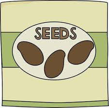 Sales of 18,000 packets of low-quality Bt seeds | निकृष्ट बीटी बियाण्यांच्या १८ हजार पॅकेट्सची विक्री   Sales of 18,000 packets of low-quality Bt seeds | निकृष्ट बीटी बियाण्यांच्या १८ हजार पॅकेट्सची विक्री