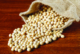 Shocking! An inspection by the agriculture department found 194 out of 1586 seeds uncertified | धक्कादायक ! कृषी विभागाच्या तपासणीत १५८६ पैकी १९४ बियाणे आढळले अप्रमाणित