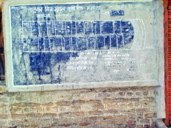 Hadagaon Taluka Bijuganan Center just show pieace | हदगाव तालुका बीजगुणन केंद्र नावालाच Hadagaon Taluka Bijuganan Center just show pieace | हदगाव तालुका बीजगुणन केंद्र नावालाच