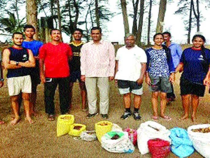 Unique experimentation of 50,000 seedlings | पन्नास हजार बियांच्या रोपणाचा अनोखा प्रयोग