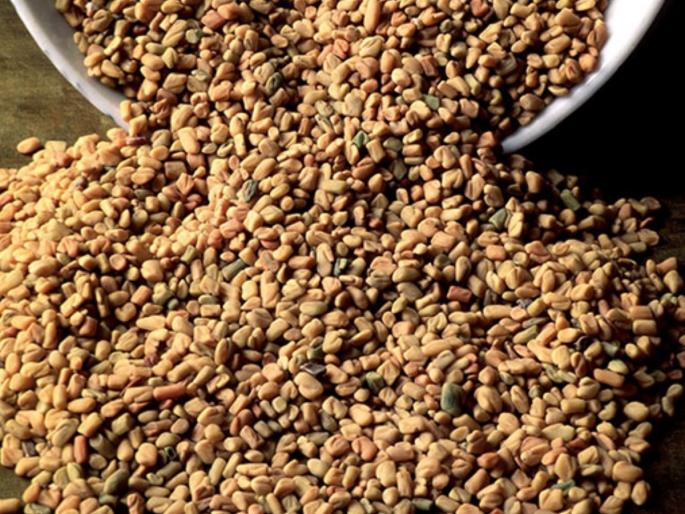 fenugreek seeds improves digestive problems, controls cholesterol and sugar level | सर्वगुणधर्मांनी उपयुक्त, आजपासूनच करा आहारात मेथीचा समावेश, कसा ते जाणून घ्या... fenugreek seeds improves digestive problems, controls cholesterol and sugar level | सर्वगुणधर्मांनी उपयुक्त, आजपासूनच करा आहारात मेथीचा समावेश, कसा ते जाणून घ्या...