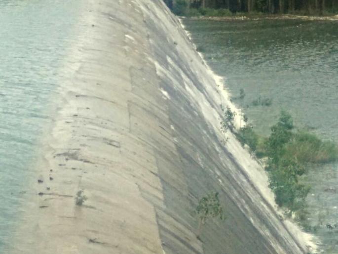 The water level of Sina Dam dropped | सीना धरणाची पाणी पातळी खालावली The water level of Sina Dam dropped | सीना धरणाची पाणी पातळी खालावली