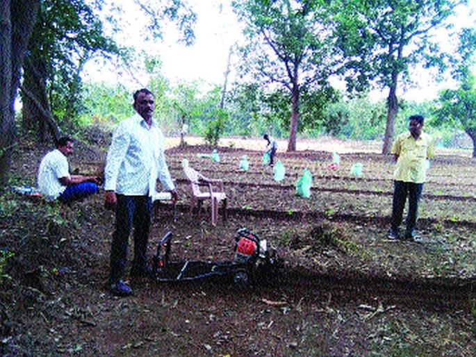 The tendency of the farmers towards organic farming increased | सेंद्रिय पद्धतीने शेती करण्याकडे शेतकऱ्यांचा कल वाढला The tendency of the farmers towards organic farming increased | सेंद्रिय पद्धतीने शेती करण्याकडे शेतकऱ्यांचा कल वाढला