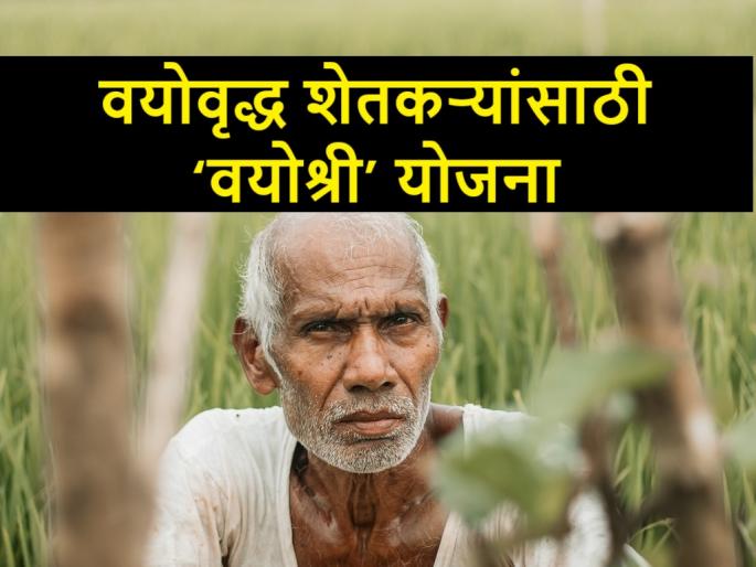 vyoshri yojana, Government's scheme for farmers who complete 65 years of age | वयाची ६५ पूर्ण करणाऱ्या शेतकऱ्यांसाठी शासनाची अभिनव योजना vyoshri yojana, Government's scheme for farmers who complete 65 years of age | वयाची ६५ पूर्ण करणाऱ्या शेतकऱ्यांसाठी शासनाची अभिनव योजना