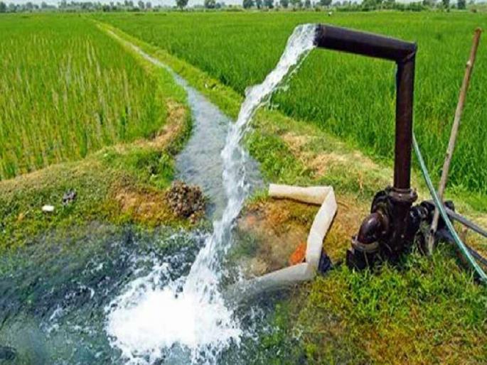 independent electricity company for agricultural customers; Initiative of Central Govt | कृषी ग्राहकांसाठी स्वतंत्र वीज कंपनी; केंद्र सरकारचा पुढाकार