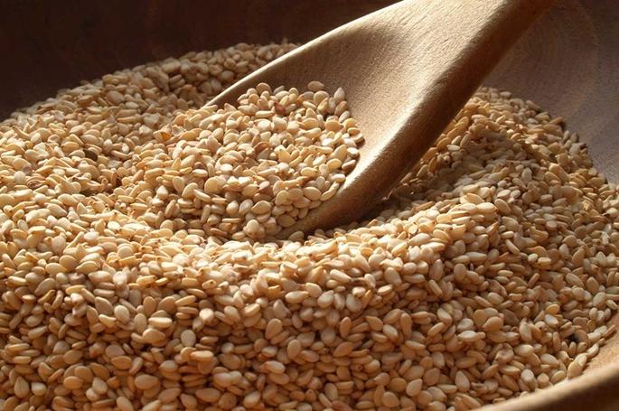 Gujarat overcome the sesame market of Maharashtra | राज्याच्या तिळाच्या बाजारपेठेवर गुजरातची संक्रांत Gujarat overcome the sesame market of Maharashtra | राज्याच्या तिळाच्या बाजारपेठेवर गुजरातची संक्रांत