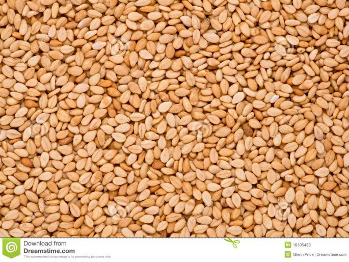 This year's production of sesamum less; Laddo will be expensive | यंदा तिळावर संक्रात ; लाडू होणार महाग This year's production of sesamum less; Laddo will be expensive | यंदा तिळावर संक्रात ; लाडू होणार महाग