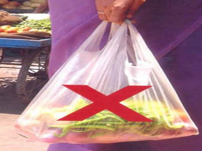 Seven companies hit due to plastic ban decision | प्लॅस्टिक बंदीच्या निर्णयाने जळगावातील सात कंपन्यांना फटका Seven companies hit due to plastic ban decision | प्लॅस्टिक बंदीच्या निर्णयाने जळगावातील सात कंपन्यांना फटका