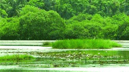 Kharghar - Tender for CBD Coastal Road in August | खारघर - सीबीडी कोस्टल रोडची निविदा ऑगस्टमध्ये Kharghar - Tender for CBD Coastal Road in August | खारघर - सीबीडी कोस्टल रोडची निविदा ऑगस्टमध्ये