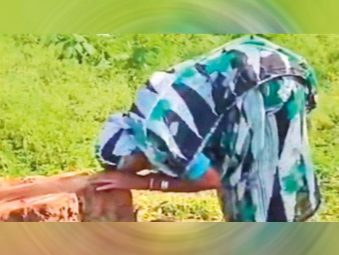 90-year-old woman lamentation over cutting down peepal tree he had cherished for 25 years, Union Minister takes note | २५ वर्षे जपलेला पिंपळ तोडल्याने ९० वर्षीय वृद्धेचा हंबरडा, केंद्रीय मंत्र्यांनी घेतली दखल 