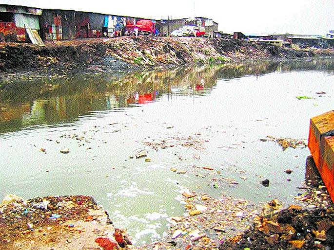 Political parties ignore air pollution | राजकीय पक्षांचे वायुप्रदूषणाकडे दुर्लक्ष Political parties ignore air pollution | राजकीय पक्षांचे वायुप्रदूषणाकडे दुर्लक्ष