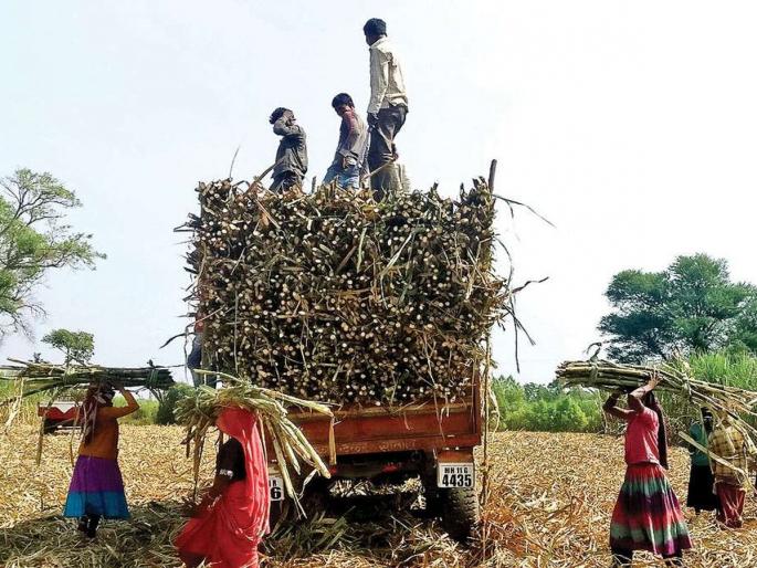Sugarcane base rate increased by 0.25, good news for farmers! FRP will be increased by Rs 150 per ton | शेतकऱ्यांसाठी ऊस आणखी झाला गोड! एफआरपीत प्रतिटन 150 रुपयांनी वाढ होणार