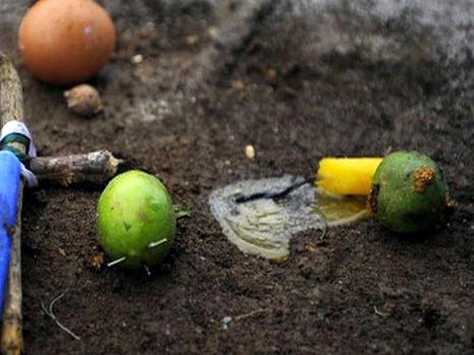 Suspicion of murder kills daughter-in-law and all family members goes to jail for 5 year in yavatmal | करणीच्या संशयाने वहिनीला मारले अन् दिराचे कुटुंबच कारागृहात गेले! Suspicion of murder kills daughter-in-law and all family members goes to jail for 5 year in yavatmal | करणीच्या संशयाने वहिनीला मारले अन् दिराचे कुटुंबच कारागृहात गेले!