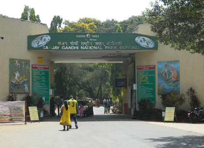 Fake website in the name of Sanjay Gandhi Park | संजय गांधी उद्यानाच्या नावे बनावट वेबसाइट Fake website in the name of Sanjay Gandhi Park | संजय गांधी उद्यानाच्या नावे बनावट वेबसाइट