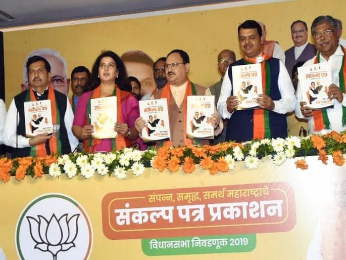 One million jobs in five years; Construction of 30 thousand km of roads; BJP Agenda | Maharashtra election 2019 : पाच वर्षांत एक कोटी रोजगार; ३० हजार किमीचे रस्ते बांधणार One million jobs in five years; Construction of 30 thousand km of roads; BJP Agenda | Maharashtra election 2019 : पाच वर्षांत एक कोटी रोजगार; ३० हजार किमीचे रस्ते बांधणार