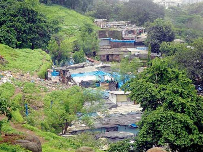 encroachment issue of national park likely to get worse kkg | नॅशनल पार्कची अतिक्रमणमुक्ती धूसर; झोपड्यांच्या पुनर्वसन प्रस्तावाला प्रतिसाद मिळेना encroachment issue of national park likely to get worse kkg | नॅशनल पार्कची अतिक्रमणमुक्ती धूसर; झोपड्यांच्या पुनर्वसन प्रस्तावाला प्रतिसाद मिळेना