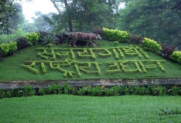 Electronic Bagby in Sanjay Gandhi Garden | संजय गांधी उद्यानात इलेक्ट्रॉनिक बग्गी