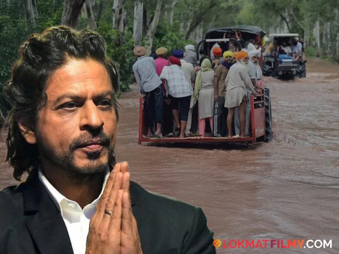 Shah Rukh Khan's Meer Foundation Sends Relief Kits To 1500 Flood-hit Families In Punjab | पंजाबच्या पूरग्रस्तांसाठी किंग खानची मोठी मदत, १ हजार ५०० कुटुंबांसाठी शाहरुख ठरला 'देवदूत'