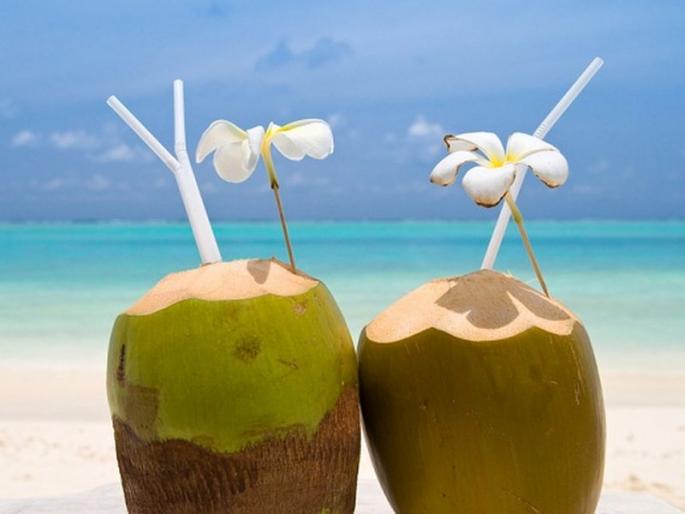 Gujarat's 'watercom' soldier sold | गुजरातची ‘पानीकम’ शहाळी विक्रीला Gujarat's 'watercom' soldier sold | गुजरातची ‘पानीकम’ शहाळी विक्रीला