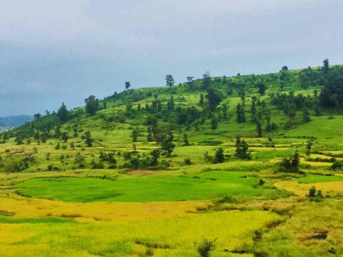 3 bodies found in an accident-hit car; The incident was revealed by a woman grazing cattle | अपघातग्रस्त गाडीत आढळले ३ मृतदेह; गुरे चारणाऱ्या महिलेमुळे उघडकीस आला प्रकार 3 bodies found in an accident-hit car; The incident was revealed by a woman grazing cattle | अपघातग्रस्त गाडीत आढळले ३ मृतदेह; गुरे चारणाऱ्या महिलेमुळे उघडकीस आला प्रकार