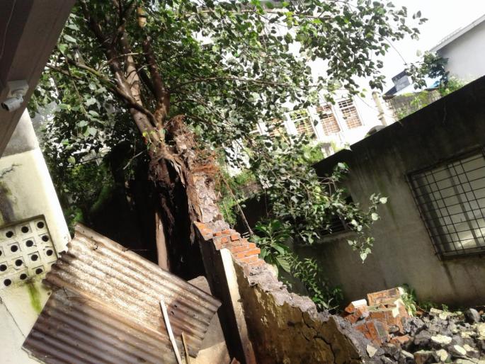 Satara: The wall of the Shahu art temple collapses | सातारा : शाहू कला मंदिरची संरक्षण भिंत कोसळली Satara: The wall of the Shahu art temple collapses | सातारा : शाहू कला मंदिरची संरक्षण भिंत कोसळली