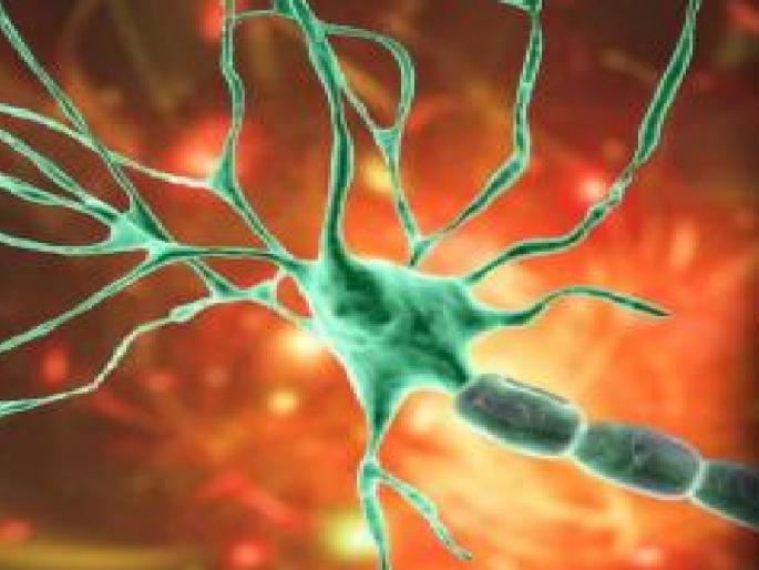 Three people have died in Shahu Mill area of Kolhapur city so far due to GB syndrome Letter from CPR to Municipal Corporation | कोल्हापुरात जीबी सिंड्रोमचे आतापर्यंत तीन बळी शाहू मिल परिसरातील, सीपीआरकडून महापालिकेला दक्षतेबाबत पत्र Three people have died in Shahu Mill area of Kolhapur city so far due to GB syndrome Letter from CPR to Municipal Corporation | कोल्हापुरात जीबी सिंड्रोमचे आतापर्यंत तीन बळी शाहू मिल परिसरातील, सीपीआरकडून महापालिकेला दक्षतेबाबत पत्र