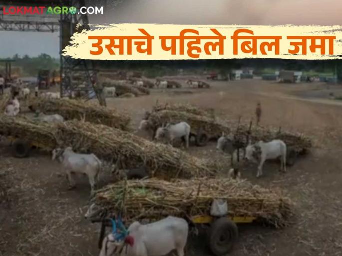 The first installment of the sugarcane bill of this sugar factory in Kolhapur was deposited in the farmers' account; How was the rate paid? | कोल्हापुरातील या साखर कारखान्याचा ऊस बिलाचा पहिला हप्ता शेतकऱ्यांच्या खात्यावर जमा; कसा दिला दर? The first installment of the sugarcane bill of this sugar factory in Kolhapur was deposited in the farmers' account; How was the rate paid? | कोल्हापुरातील या साखर कारखान्याचा ऊस बिलाचा पहिला हप्ता शेतकऱ्यांच्या खात्यावर जमा; कसा दिला दर?