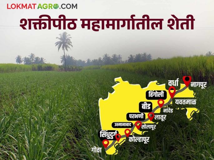 If you speed up the Shakti Peeth Highway, it will become vanished agriculture land; What is the truth behind it, read in detail | शक्तीपीठ महामार्गाला द्याल गती तर शेतीची होईल माती; काय आहे ह्यामागील सत्य, वाचा सविस्तर If you speed up the Shakti Peeth Highway, it will become vanished agriculture land; What is the truth behind it, read in detail | शक्तीपीठ महामार्गाला द्याल गती तर शेतीची होईल माती; काय आहे ह्यामागील सत्य, वाचा सविस्तर