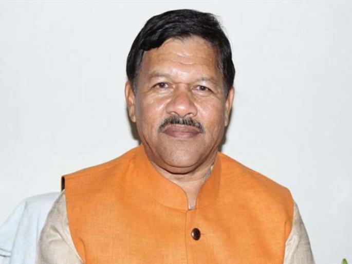 Priyanka Gandhi's entry will not get support to congress; BJP vice president's claim | प्रियंका गांधींच्या एन्ट्रीने जनाधार मिळणार नाही; भाजपाच्या उपाध्यक्षांचा दावा Priyanka Gandhi's entry will not get support to congress; BJP vice president's claim | प्रियंका गांधींच्या एन्ट्रीने जनाधार मिळणार नाही; भाजपाच्या उपाध्यक्षांचा दावा