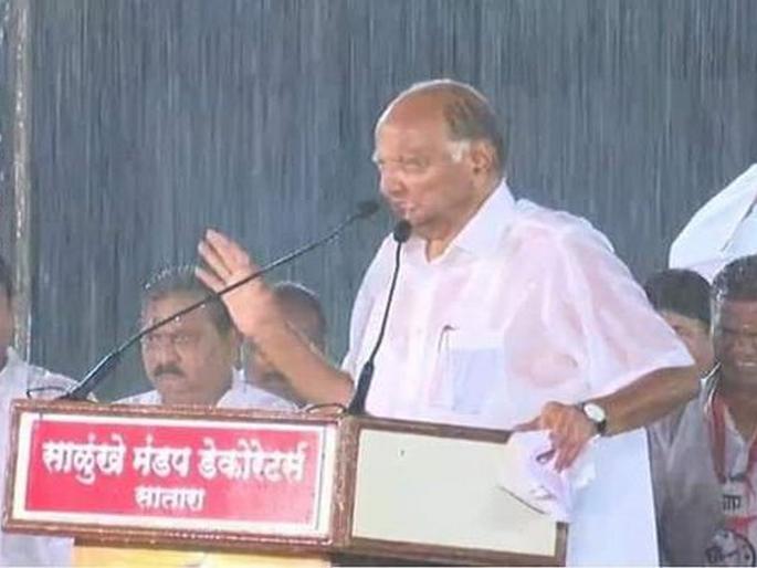 Maharashtra Election 2019: Sharad Pawar: Fighter Maratha Strongman! | बलाढ्य सत्ताधाऱ्यांशी एकाकी झुंजणारा लढवय्या स्ट्राँगमॅन! Maharashtra Election 2019: Sharad Pawar: Fighter Maratha Strongman! | बलाढ्य सत्ताधाऱ्यांशी एकाकी झुंजणारा लढवय्या स्ट्राँगमॅन!