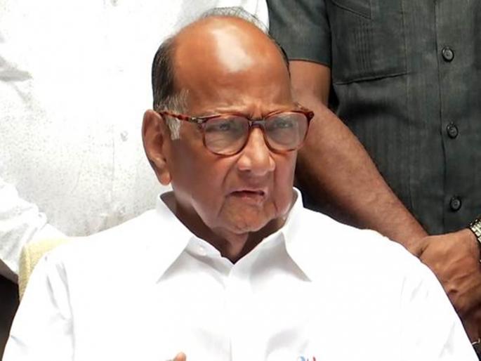 Ratnagiri Mayor Election Shiv Sena MLA said Sharad Pawar will meet | रत्नागिरी नगराध्यक्ष निवडणुक: राष्ट्रवादीच्या पाठींब्यासाठी पवारांची भेट घेणार: आमदार सामंत Ratnagiri Mayor Election Shiv Sena MLA said Sharad Pawar will meet | रत्नागिरी नगराध्यक्ष निवडणुक: राष्ट्रवादीच्या पाठींब्यासाठी पवारांची भेट घेणार: आमदार सामंत