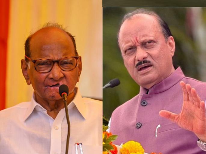 maharashtra assembly election ...therefore Maharashtra's position on 'GST' is not presented; Sharad Pawar targets Ajit Pawar | ...त्यामुळे महाराष्ट्राची ‘जीएसटी’ बाबतची भूमिका मांडली जात नाही; शरद पवार यांचा अजित पवार यांच्यावर निशाणा maharashtra assembly election ...therefore Maharashtra's position on 'GST' is not presented; Sharad Pawar targets Ajit Pawar | ...त्यामुळे महाराष्ट्राची ‘जीएसटी’ बाबतची भूमिका मांडली जात नाही; शरद पवार यांचा अजित पवार यांच्यावर निशाणा